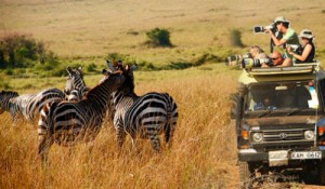 Tourist Attractions in Kenyan Safari